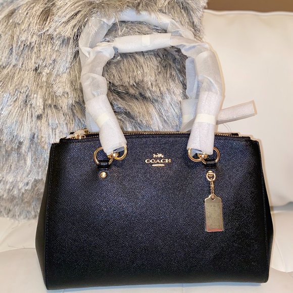 NEW WITH TAGS! Coach Etta Carryall